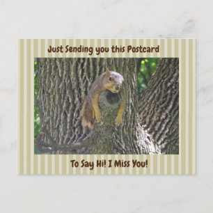 Carte Postale Écureuil mignon "Je te manque"
