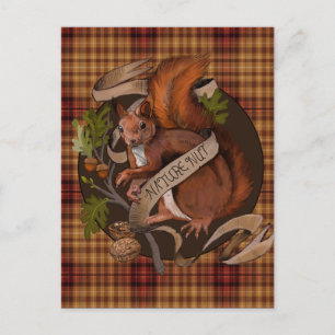 Carte Postale Écureuil mordu de nature 