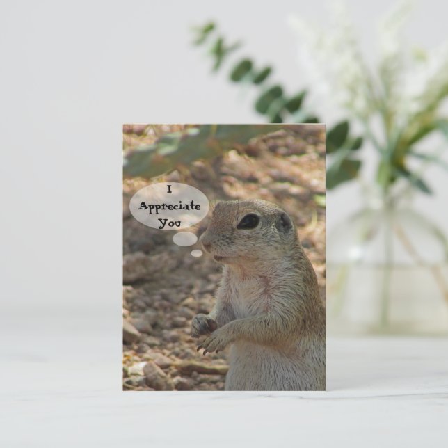 Carte Postale Écureuil terrestre apprécié Photo Animal du désert (Debout devant)