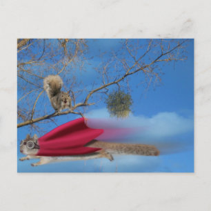 Carte Postale Écureuil volant