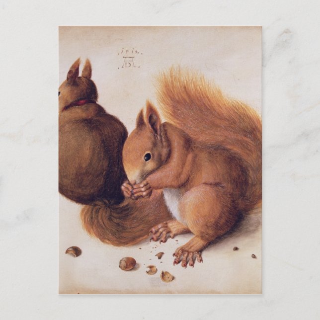 Carte Postale Écureuils, 1512 (Devant)