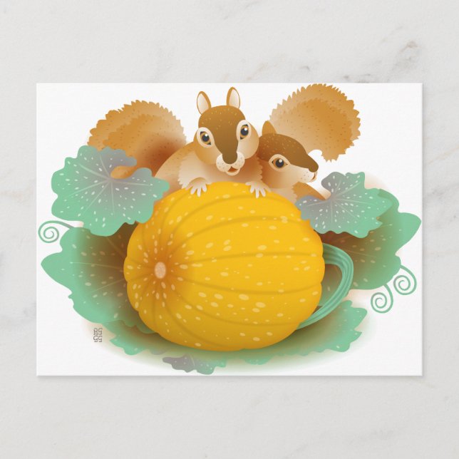Carte Postale écureuils dans le patch citrouille (Devant)