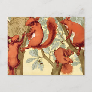 Carte Postale Écureuils rouges vintage nature automne Verneuil a