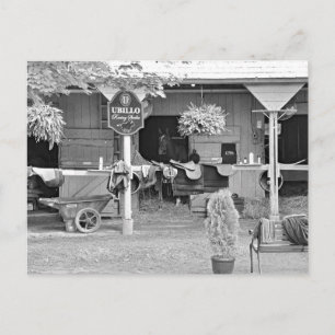 Carte Postale Écuries Saratoga