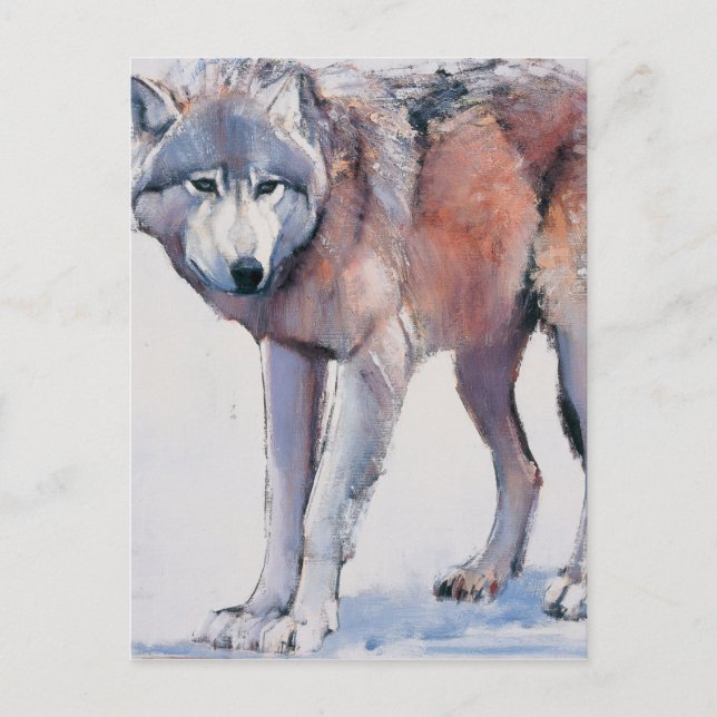 Carte Postale Edge 2001 (Devant)