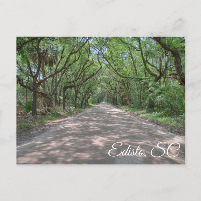 Carte postale Edisto (Devant)