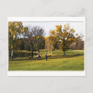 Carte postale Edmonton Alberta