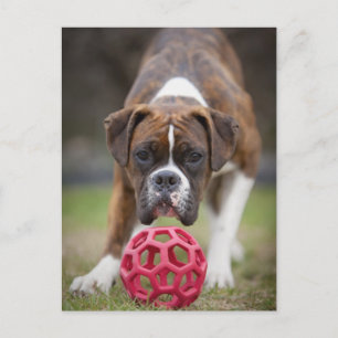 Carte Postale edmonton, alberta canada