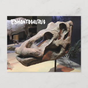 Carte Postale Edmontosaurus