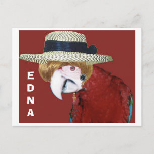 CARTE POSTALE EDNA