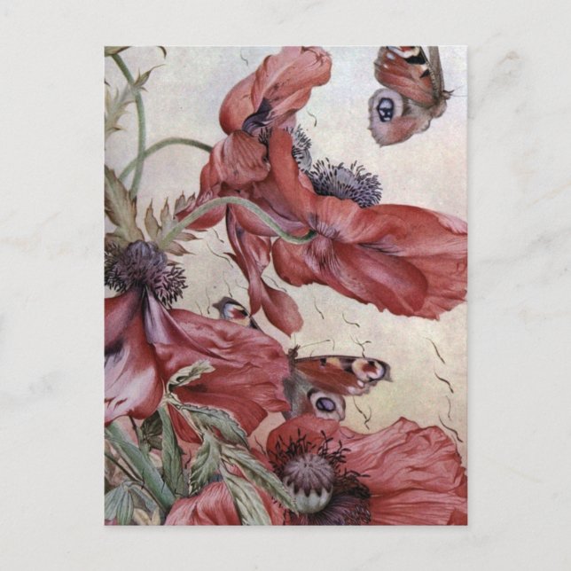 Carte Postale Edward Julius Détache Les Poppies Et Les Papillons (Devant)