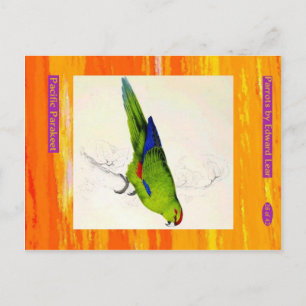 Carte Postale Edward Lear. Perruche du Pacifique.