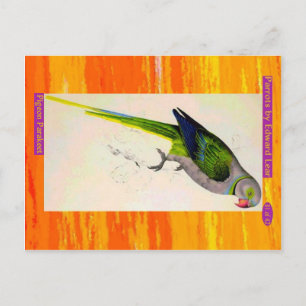 Carte Postale Edward Lear. Pigeon Parakeet.