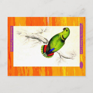 Carte Postale Edward Lear. Swindern's Parakeet.