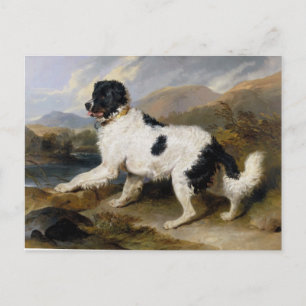 Carte Postale Edwin Henry Landseer Lion A Newfoundland Dog