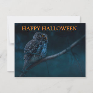 Carte postale Effrayant Halloween Night with Owls
