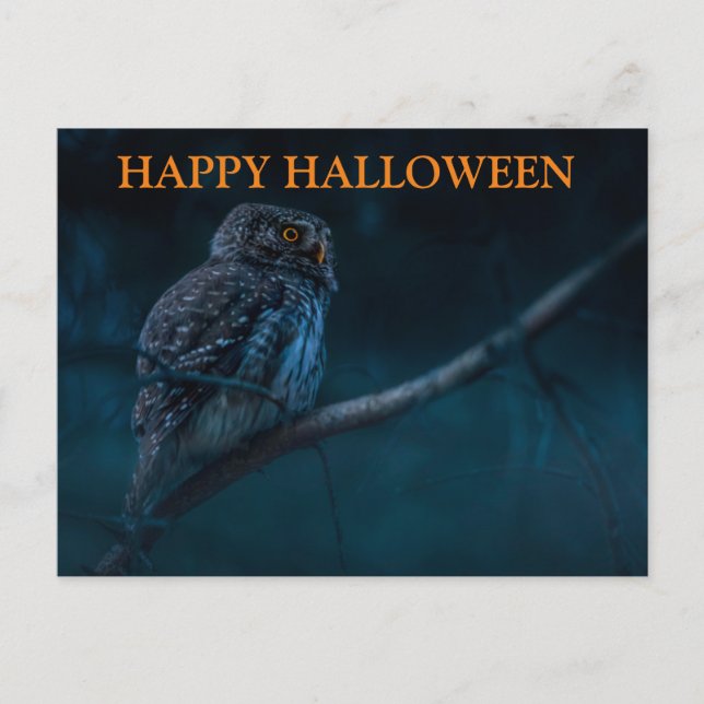 Carte postale Effrayant Halloween Night with Owls (Devant)