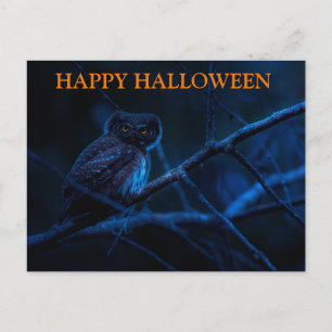 Carte postale Effrayant Halloween Night with Owls
