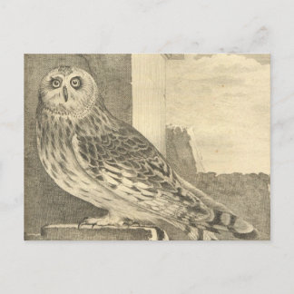 Carte postale éffrayante de la Chouette d'Hallowee