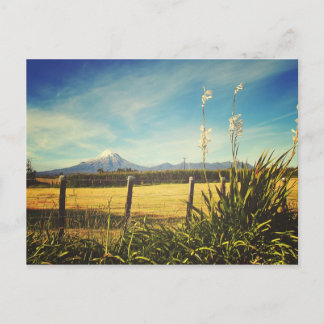 Carte postale Egmont Village