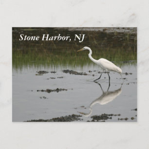 Carte Postale Egret du port de pierre
