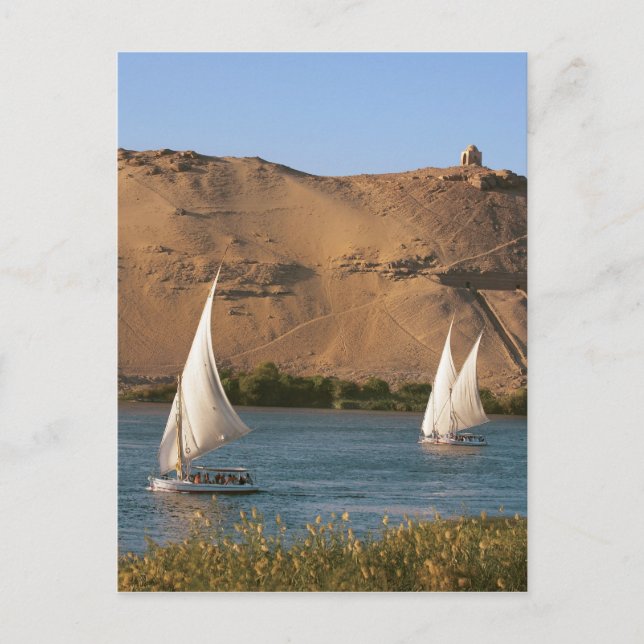 Carte Postale Egypte, Assouan, Nil River, Felucca voiliers, (Devant)