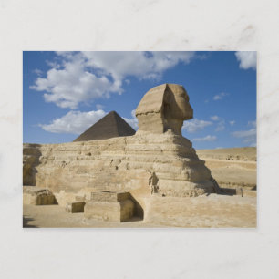 Carte Postale Égypte, Giza. Le grand Sphynx s'élève au-dessus de