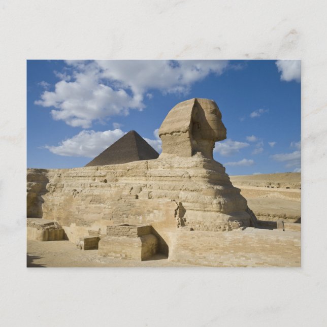 Carte Postale Egypte, Gizeh. Le grand Sphynx se dresse au-dessus (Devant)