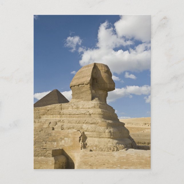 Carte Postale Égypte, Gizeh. Le grand Sphynx s'élève au-dessus d (Devant)