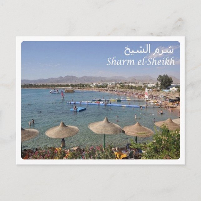 Carte Postale Egypte - Sharm el Sheikh - (Devant)