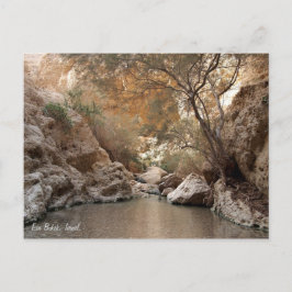 Carte Postale Ein Bokek, Israël.