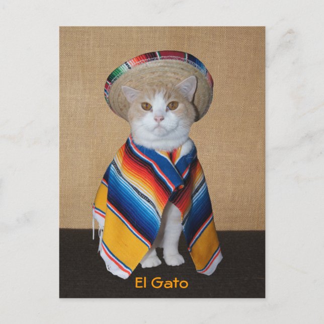 Carte Postale El Gato Chat en Sombrero et Serape (Devant)