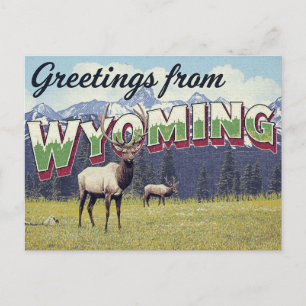 Carte Postale Élan du Wyoming Montagnes Grand Teton