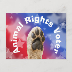 Carte Postale Électeur des droits des animaux