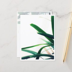 Carte Postale Élégance verte minimaliste