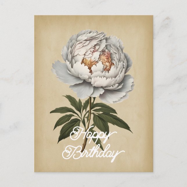 Carte Postale Élégant Anniversaire Fleur de Pivoine Blanche Vint (Devant)