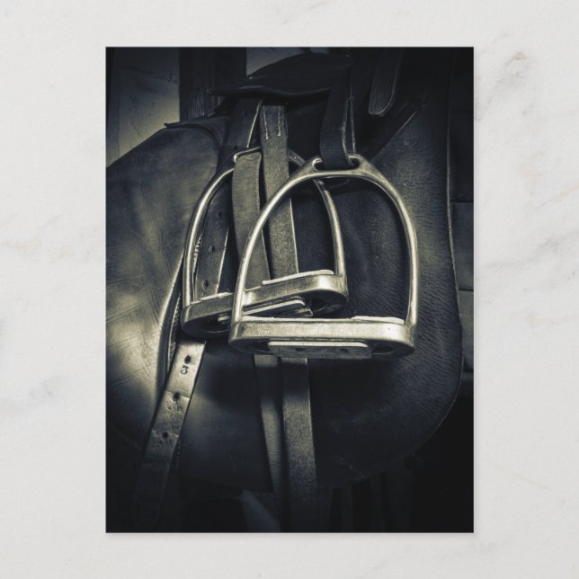 Carte Postale Élégant bâton d'argent sur selle d'équitation angl (Devant)