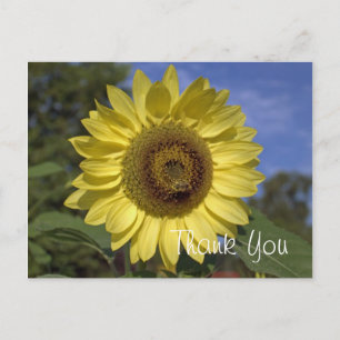 Carte Postale Elégant, brillant été tournesol jaune merci