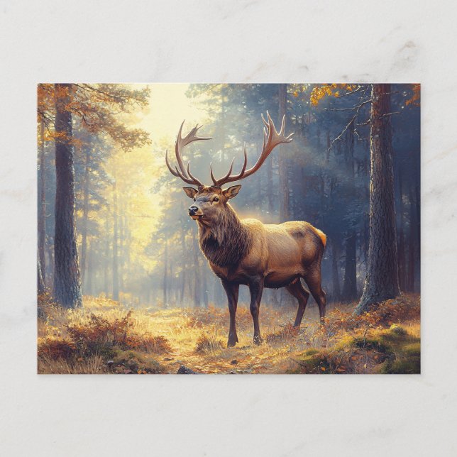 Carte Postale Élégant cerf-volant dans la forêt (Devant)