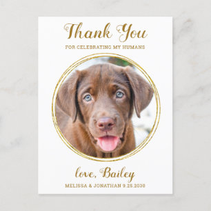 Carte Postale Elégant Chic Gold Pet Chien Mariage Merci