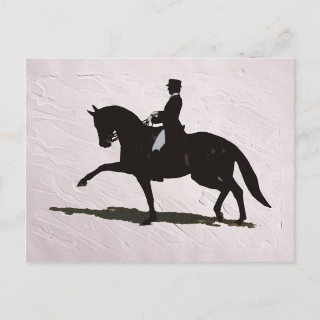 Carte Postale Élégant Dressage Horse & Rider (Devant)