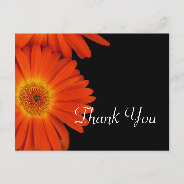 Carte Postale Elégant orange gerbera marguerite fleurs de mariag (Devant)