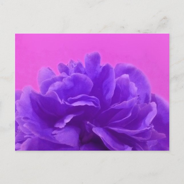 Carte Postale Elegant Purple Raspberry Floral (Devant)