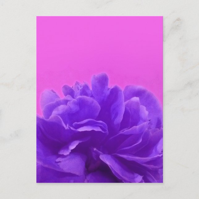 Carte Postale Elegant Purple Raspberry Floral (Devant)