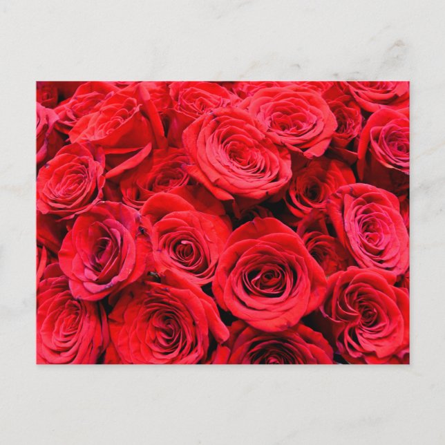 Carte Postale Élégant rose aux fleurs rouges (Devant)