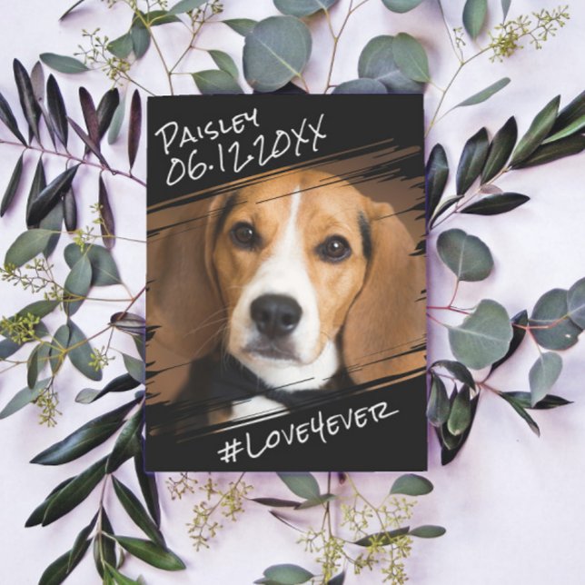 Carte Postale Élégant Simple Moderne Chic Cadeau pour Chien Noir (Créateur téléchargé)