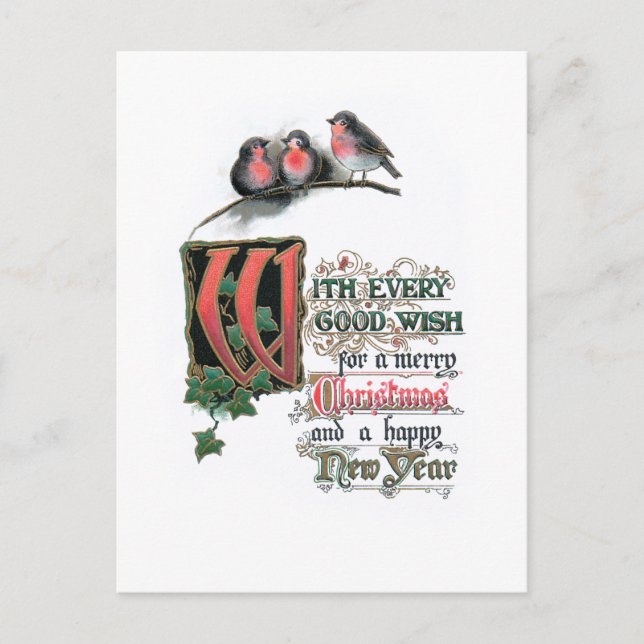Carte Postale Élégant texte de Noël Orné avec Robins et Ivy (Devant)