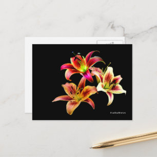 Carte Postale Elégant trio de jours roses jaunes Floral