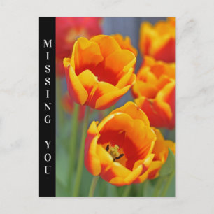 Carte Postale Élégant Tulipe jaune et rouge FLower Portrait