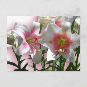 Carte Postale Elégant Wedding shower de Fleur Peace Love Destiny